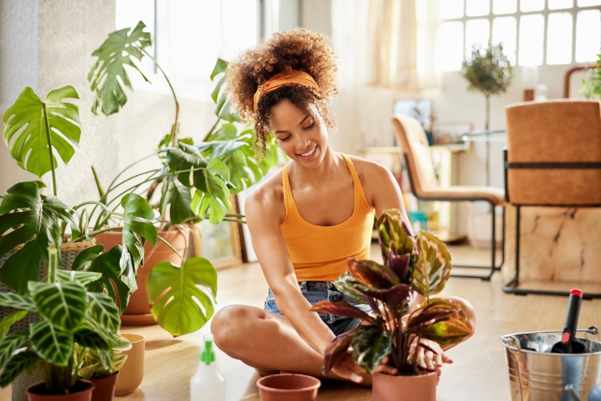 Plants That Can Block Your Love Life, According to Feng Shui