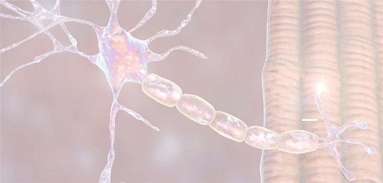 Gerçek dünya verileri, ravulizumab'ın klinik uygulamada doğrulandığını doğruladı