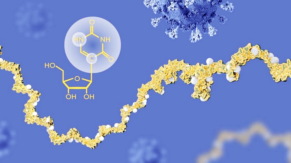 Experten besorgt über Bob Kennedy Jr.s Verbot von mRNA-Impfstoffen
