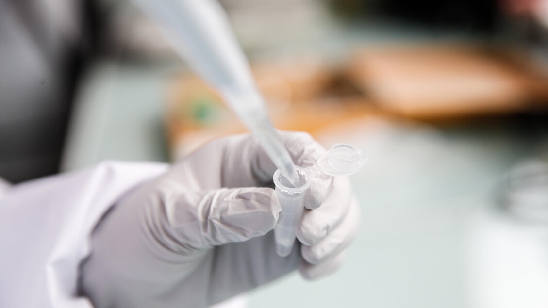 Carcinome du nasopharynx : l’UE approuve un anticorps combiné à une chimiothérapie