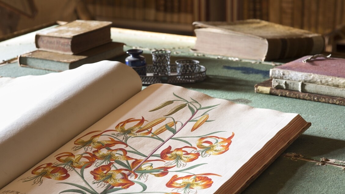 Een tentoonstelling van zeldzame en oude boeken in Villa Necchi Campiglio