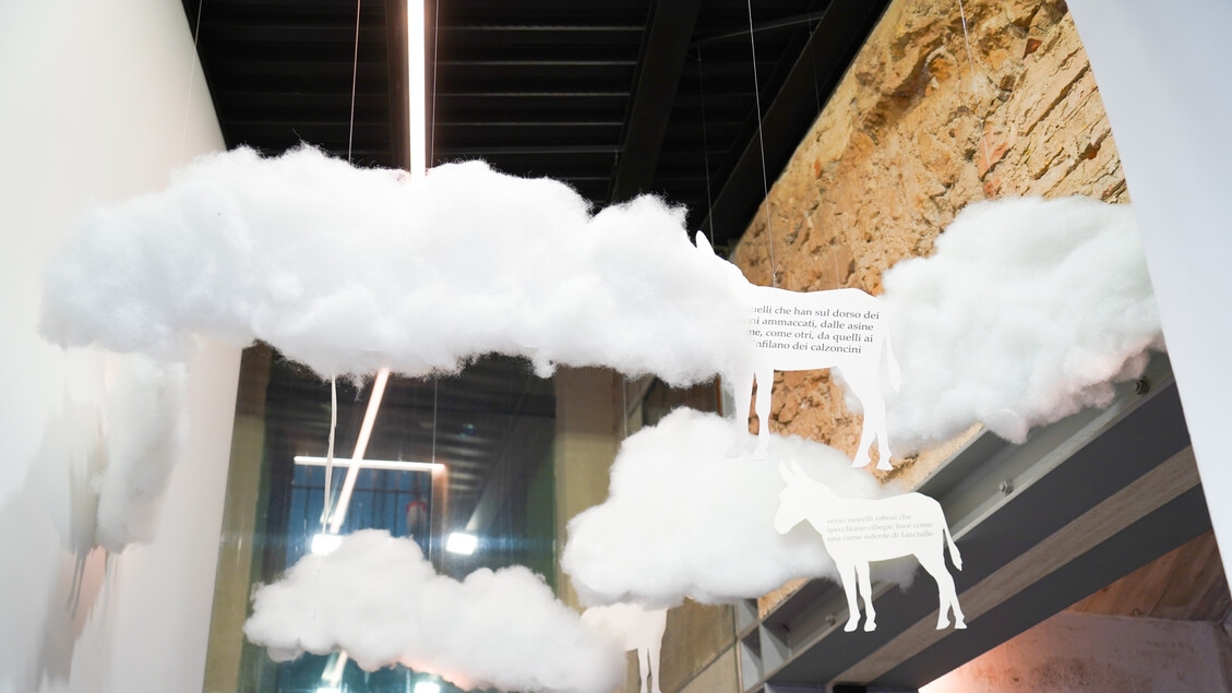 De ezels van Curi: tussen spiritualiteit en poëzie