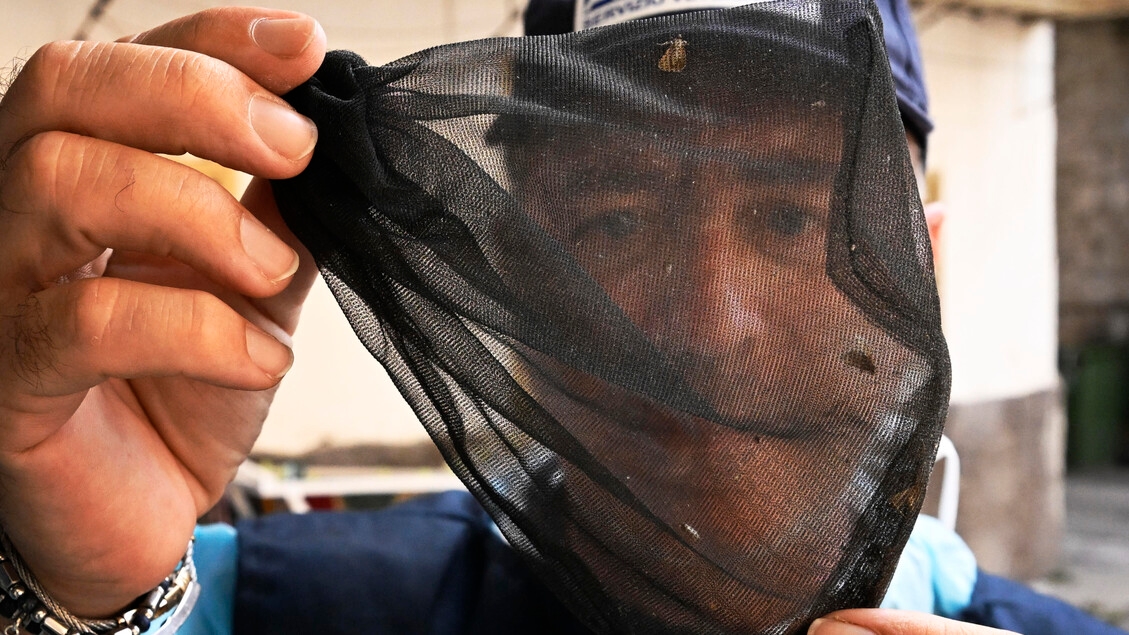 Quarta vittima nel Lazio per West Nile, morta donna 93enne
