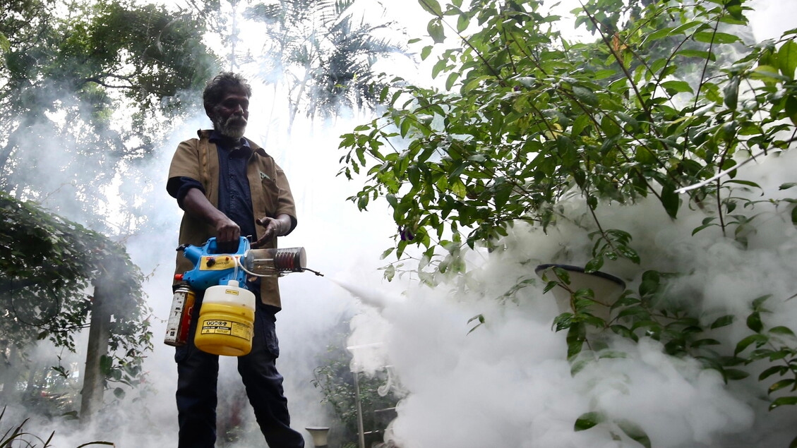 In Italia 89 casi di West Nile, in sette giorni sono più che raddoppiati
