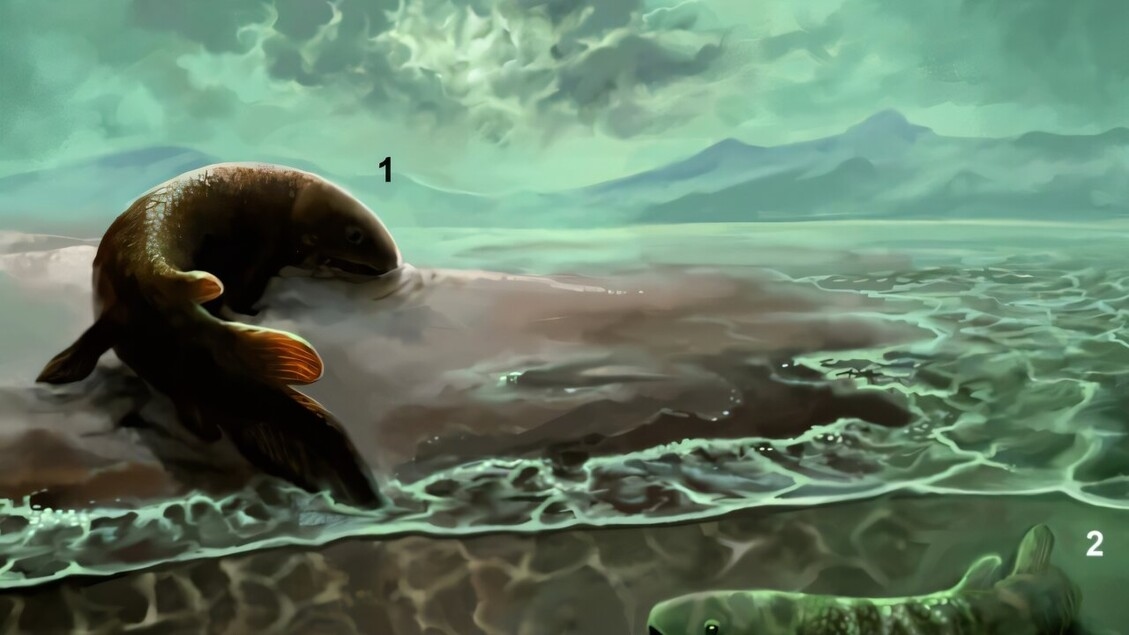 As pegadas de peixes mais antigas em terra
