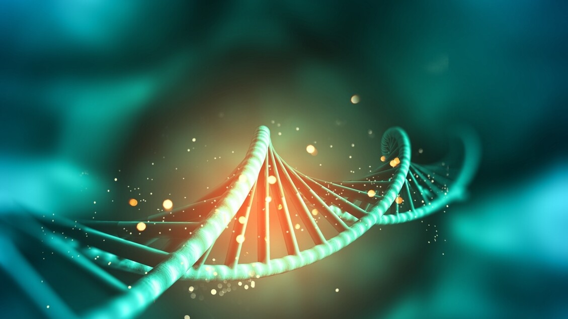 Mütterliche Gene beeinflussen das Gewicht von Kindern, auch wenn sie nicht vererbt werden
