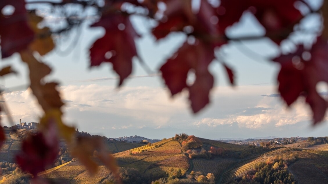 Herfst van de kunst in de Langhe