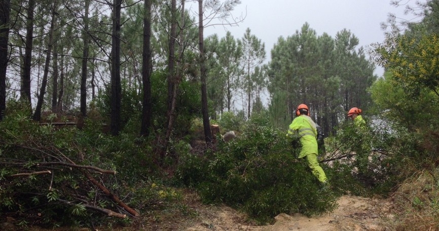 Incêndios: Termina hoje prazo para limpeza de terrenos e GNR inicia fiscalização segunda-feira