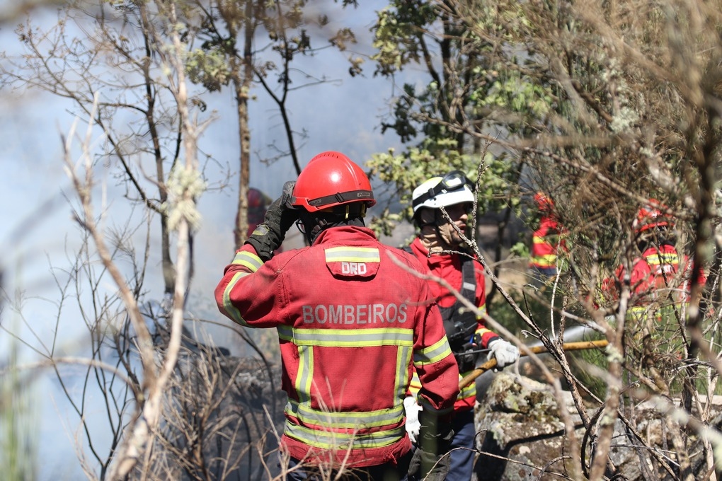 Brand in Moimenta da Beira blijft onbeheersbaar, bijna 500 agenten zijn nog steeds in actie