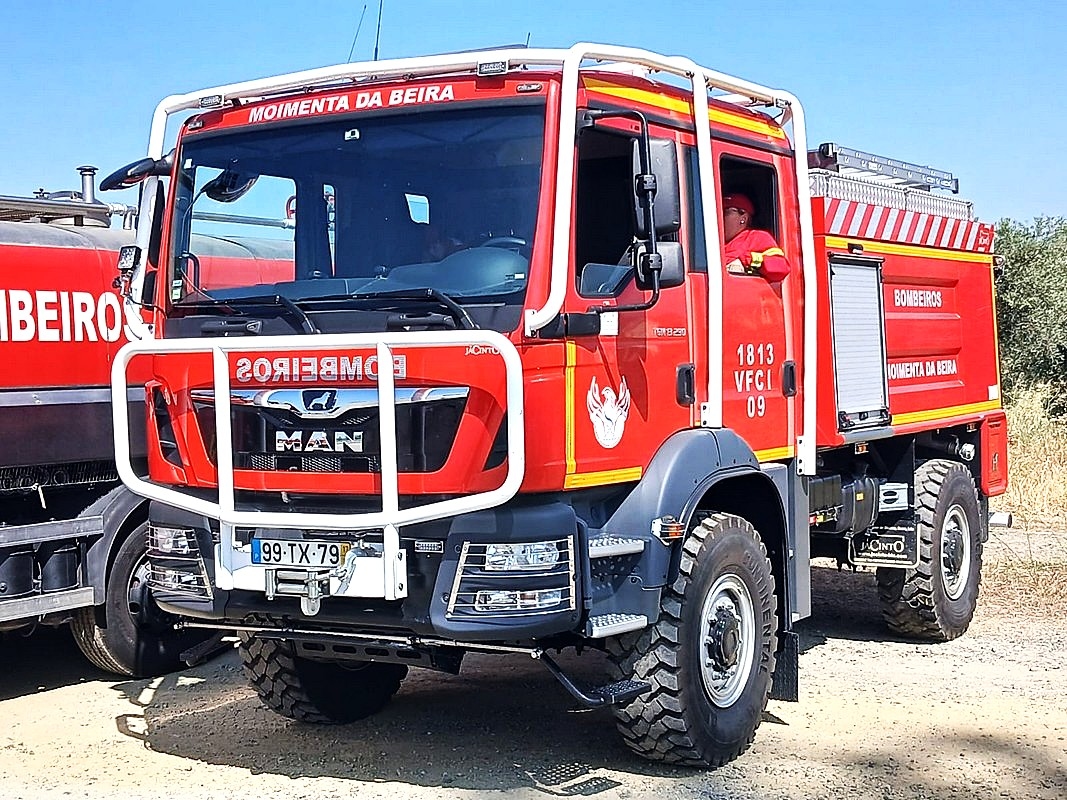 Brand in pakhuis kost 19 dieren het leven