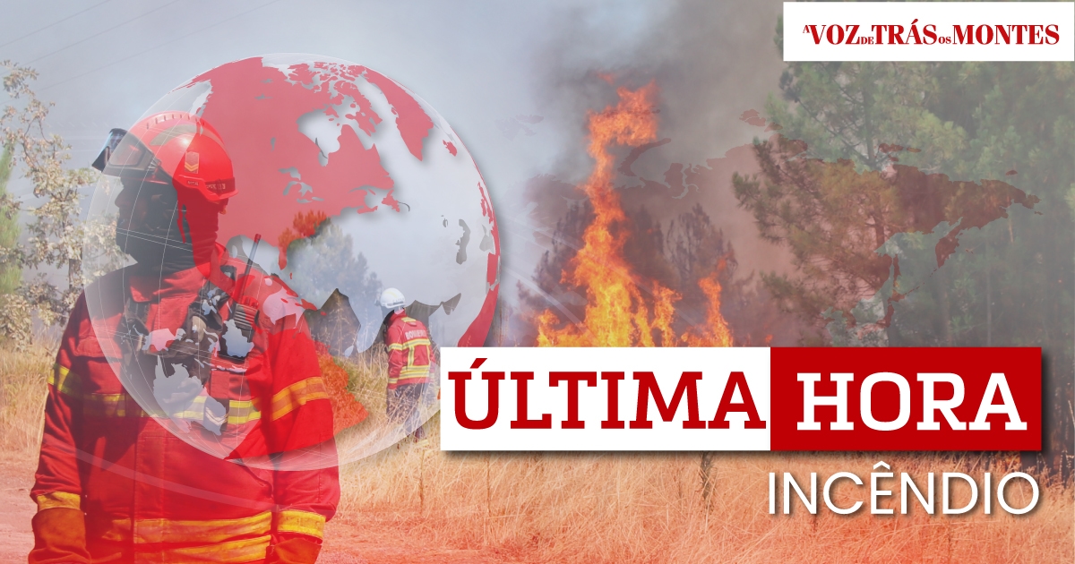 Sept ressources aériennes et 153 personnels opérationnels luttent contre l'incendie à S. Cibrão
