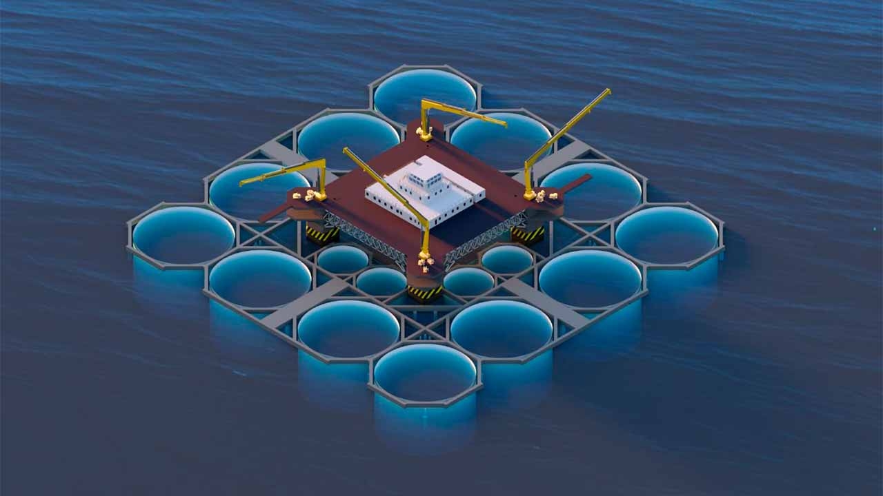 Mariculture off the coast of Vila Real de Santo António in public consultation