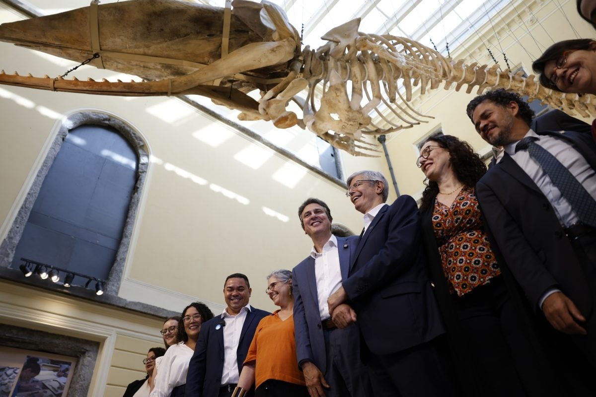 Rios Nationalmuseum wird sieben Jahre nach dem Brand wieder für Ausstellungen geöffnet