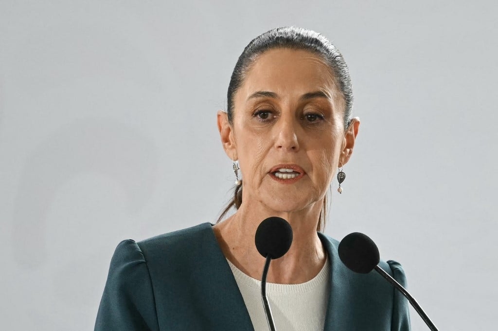 Mexico rules out a free trade agreement with Brazil