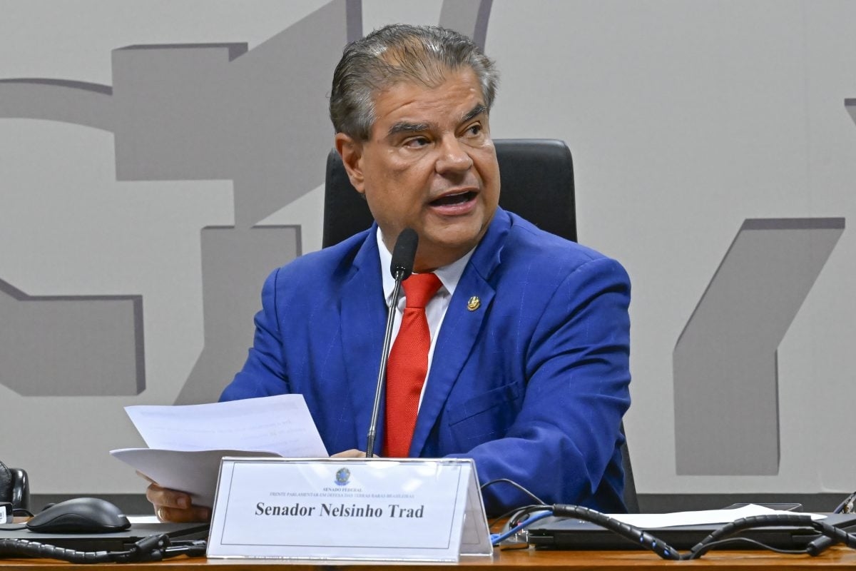 Senate establishes Parliamentary Front in Defense of Rare Earths