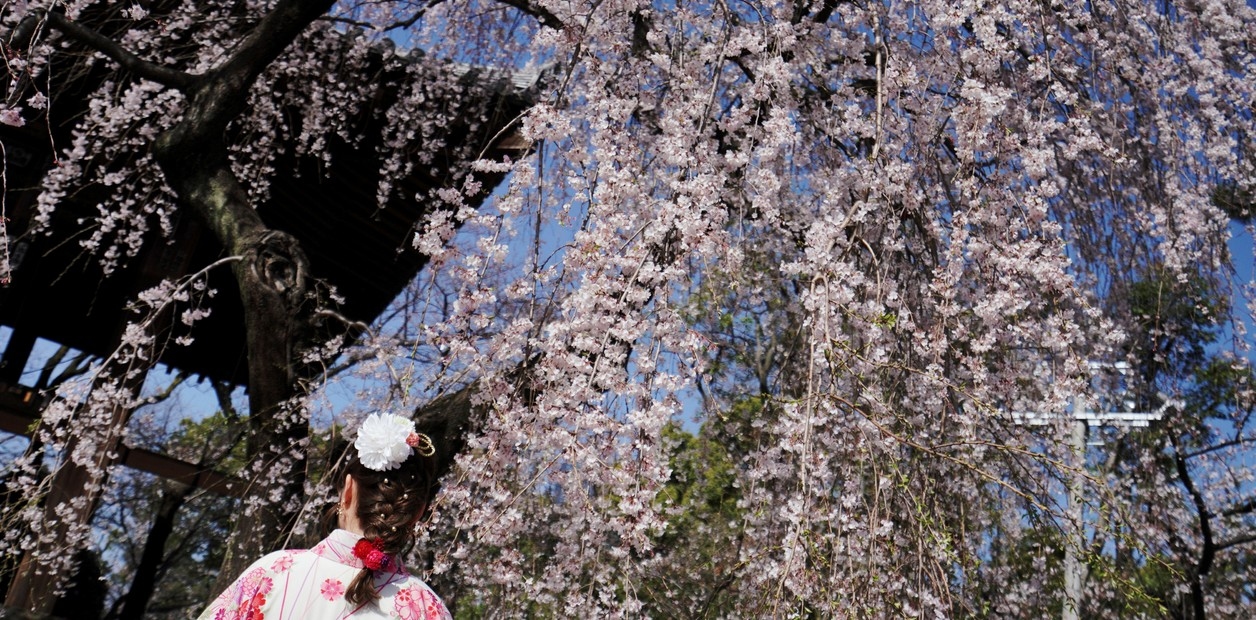 A map to explore the charm of Japanese literature