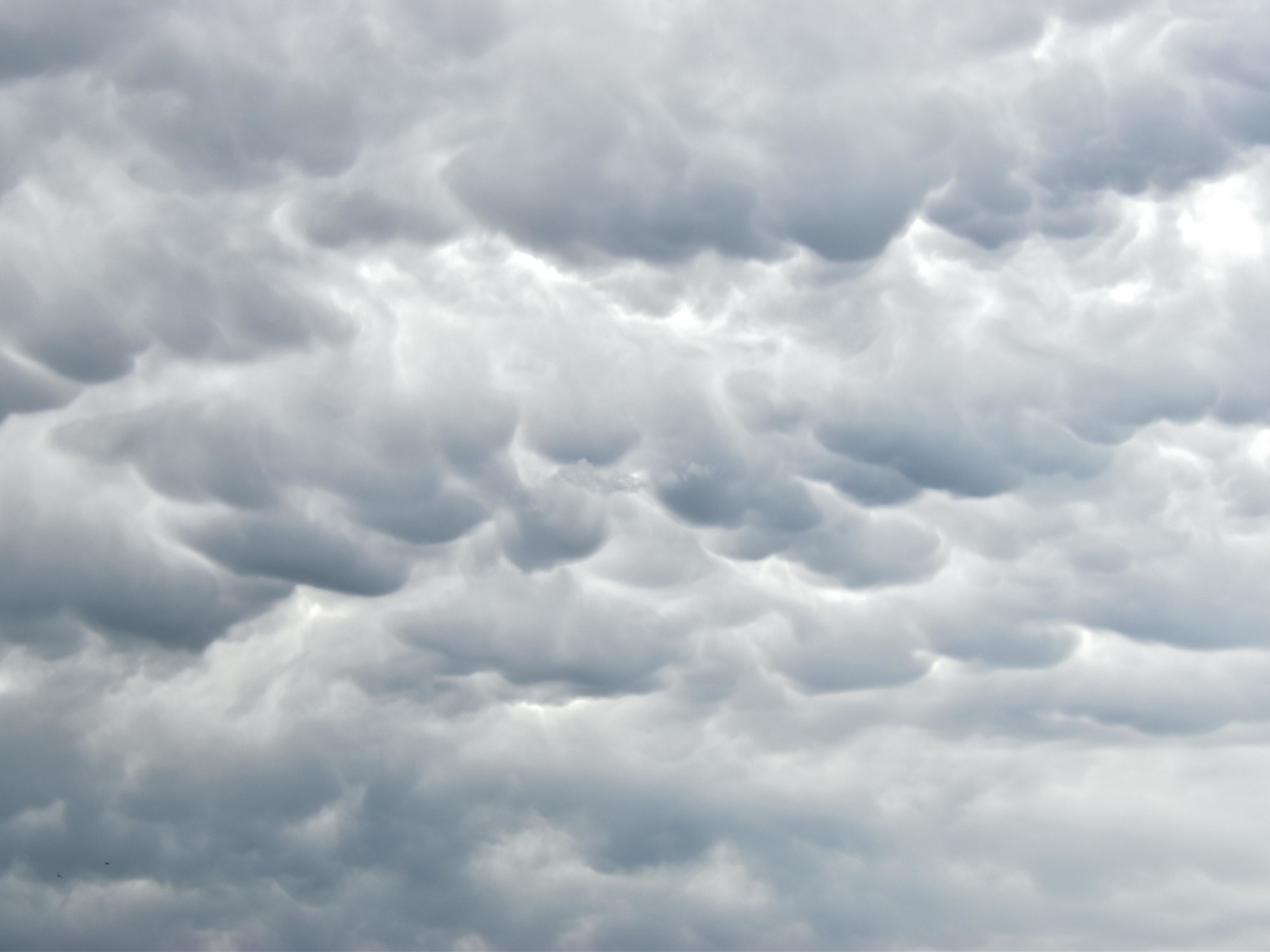 Het weer vandaag in Goya, Corrientes: de weersvoorspelling voor deze zondag 22 juni 2025