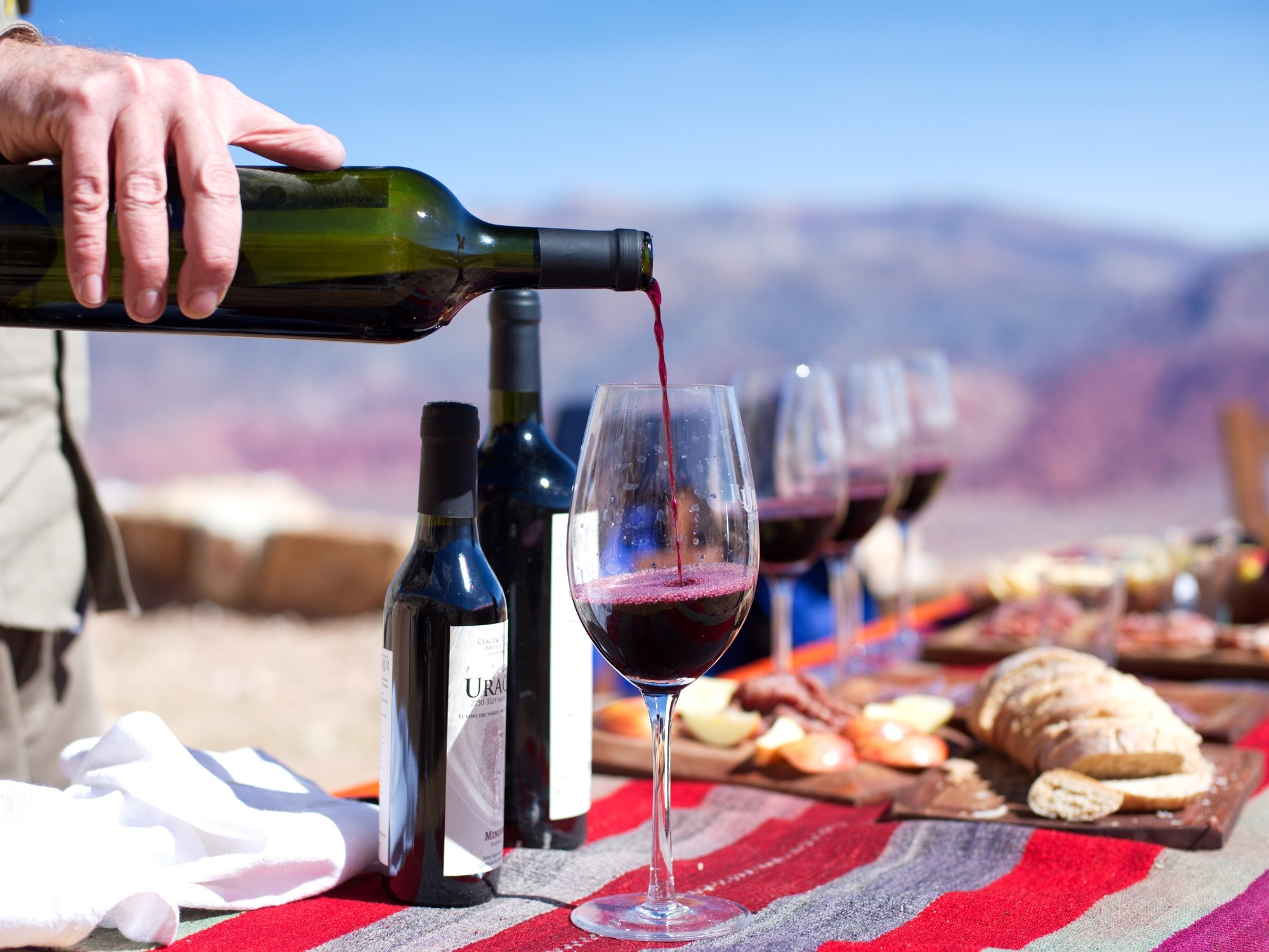 La nueva ruta del vino argentino en un destino turístico que es Patrimonio de la Humanidad: qué bodegas visitar y qué probar