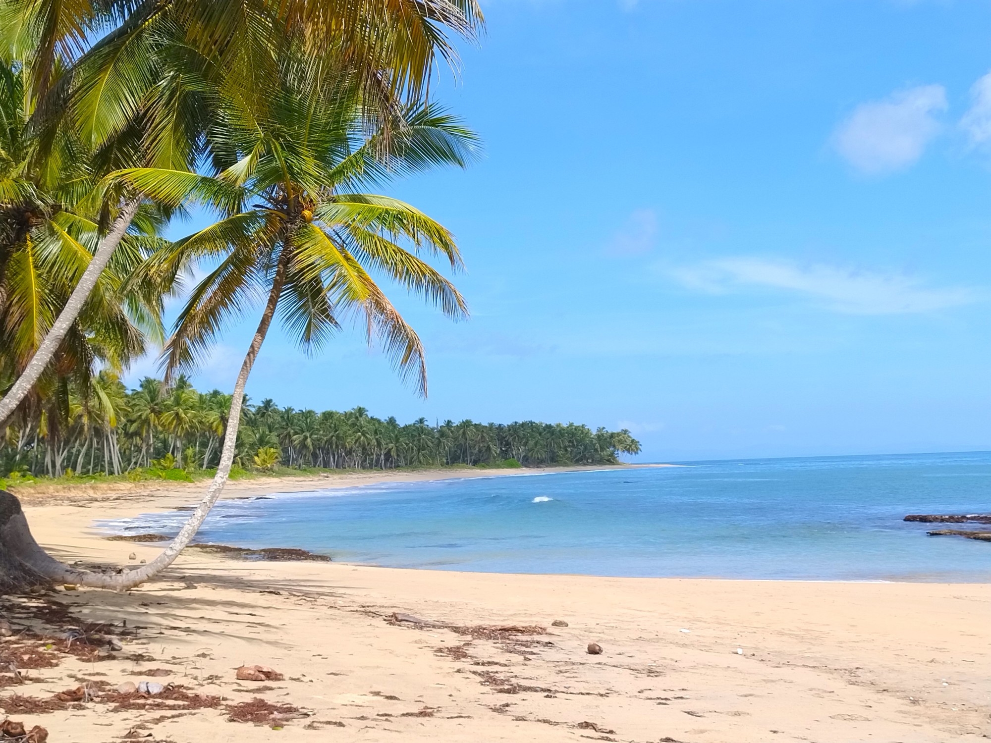 Incredible beaches, all-inclusive resorts, and unspoiled nature: this is the Dominican Republic's most surprising new destination.