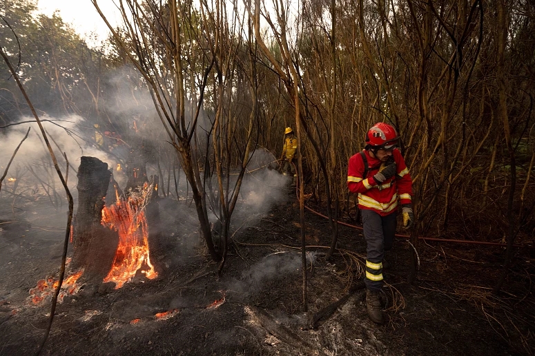 More than 50 municipalities at maximum risk of fire
