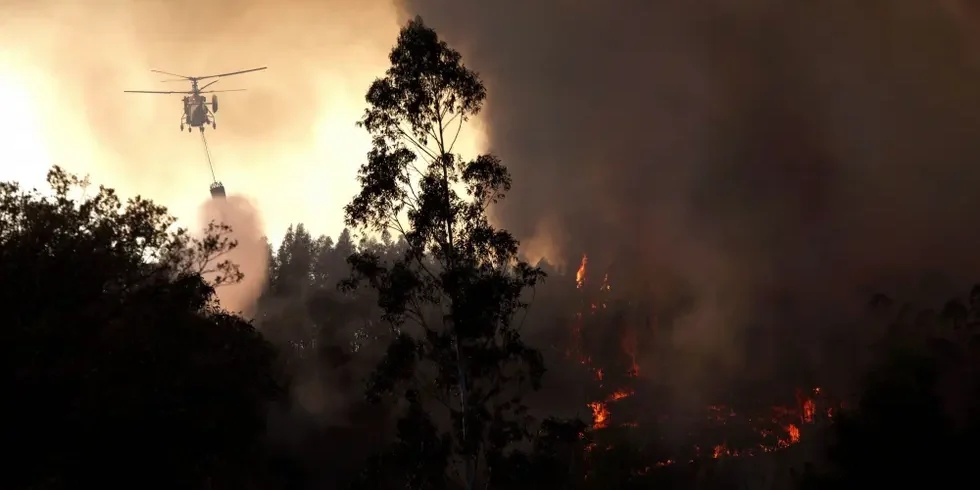 The area burned this year almost tripled compared to 2024 and fires increased by 68%