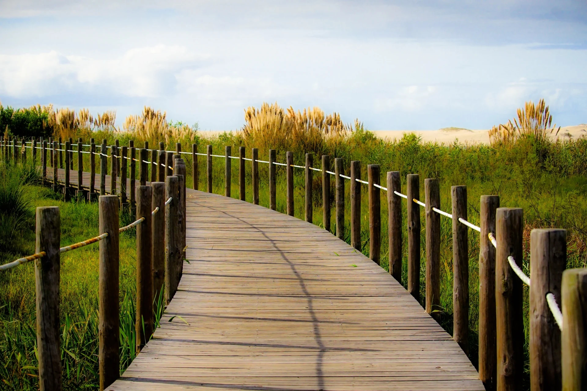 Damaged boards on the Barrinha Walkways are in the Espinho "part"