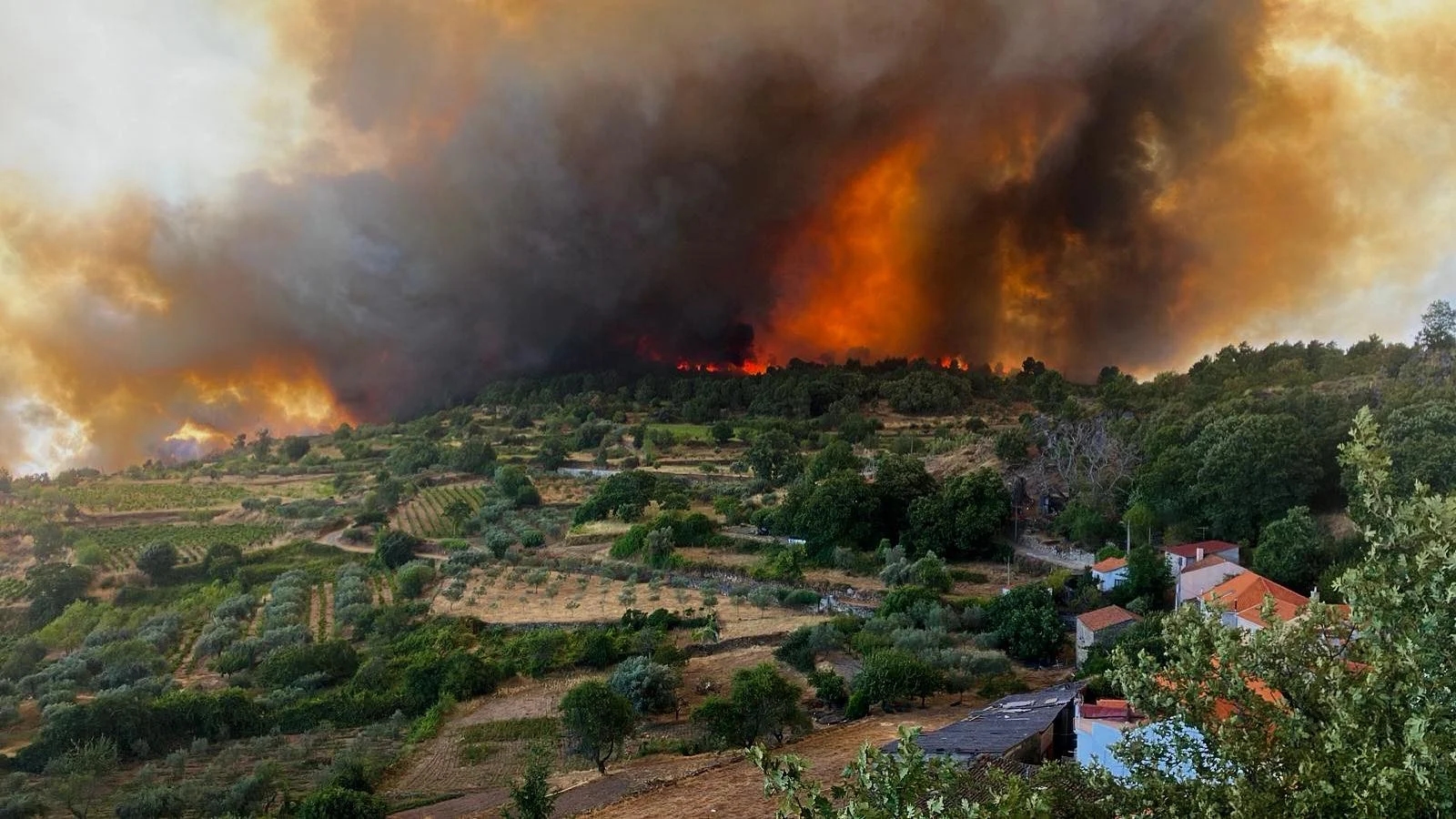 Mêda requests declaration of state of emergency due to fire