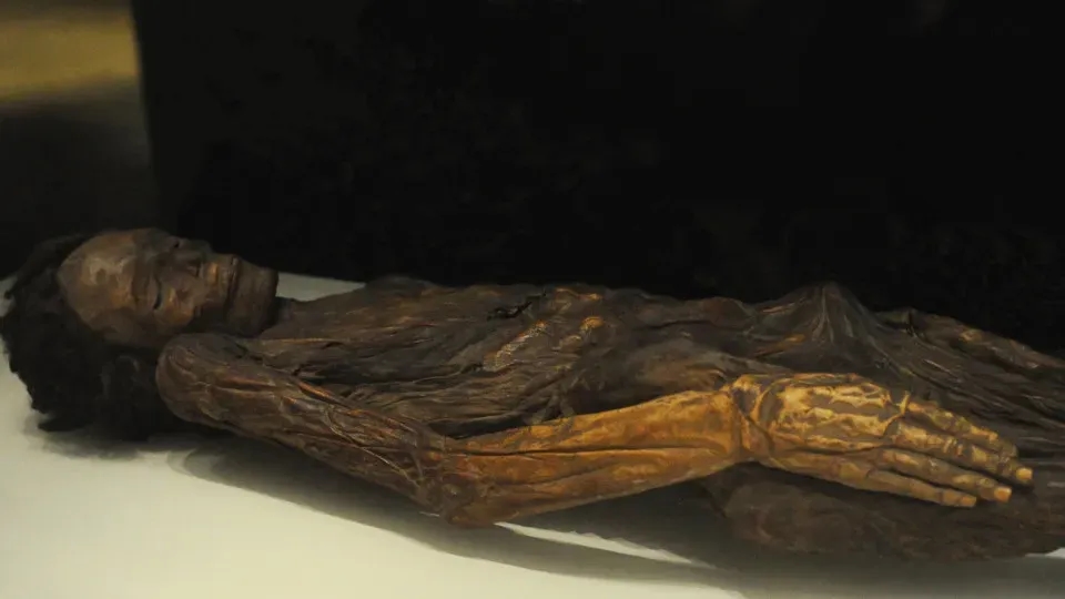 I musei nazionali spagnoli rimuovono mummie e parti del corpo umano dall'esposizione