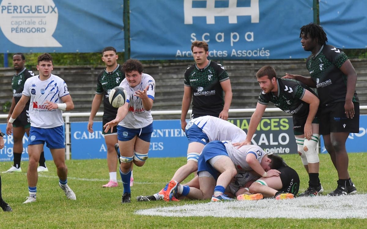 Rugby, Reichel hopes for promotion: the Périgourdins
may have some regrets