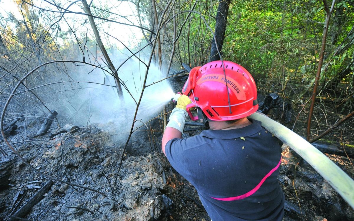 Dordonha: Dez hectares de vegetação destruídos pelas chamas