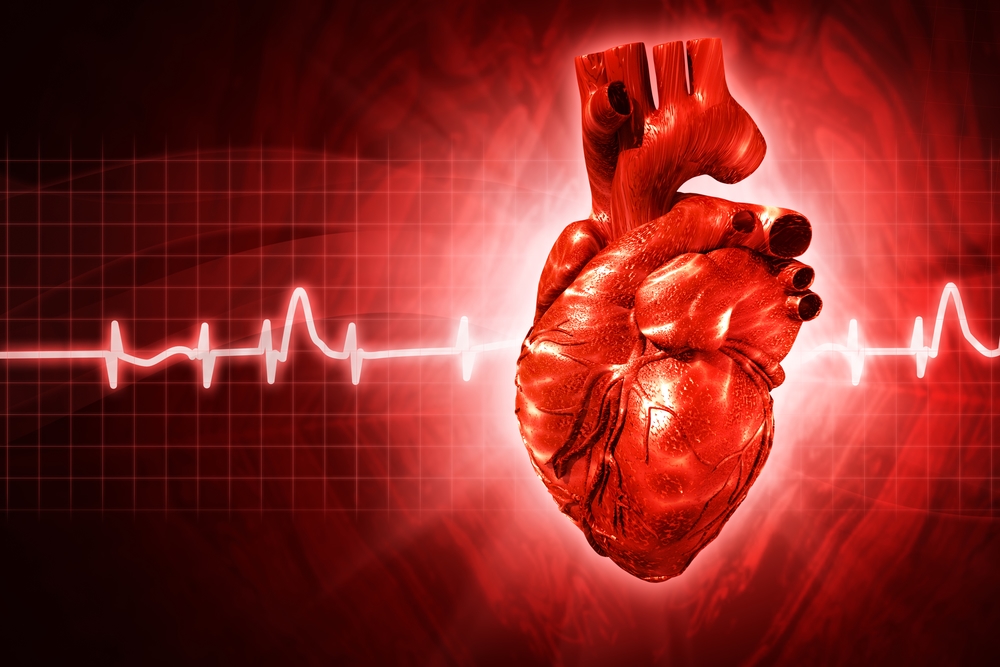 Dutch study find female athletes heart beats to a different drum
