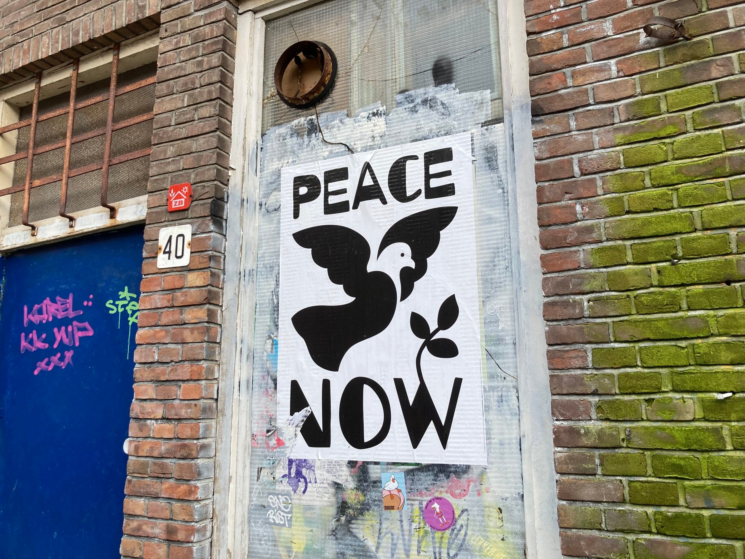 Mais de 250 organizações artísticas apelam ao boicote cultural a Israel