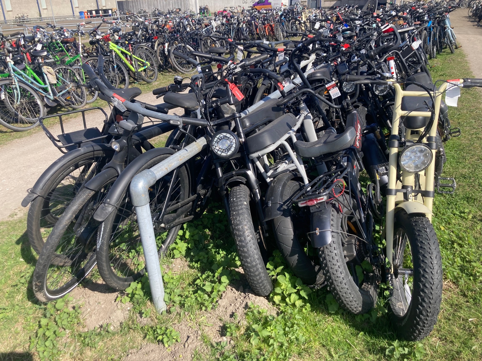 Il governo olandese propone di sperimentare i limiti di velocità sulle piste ciclabili