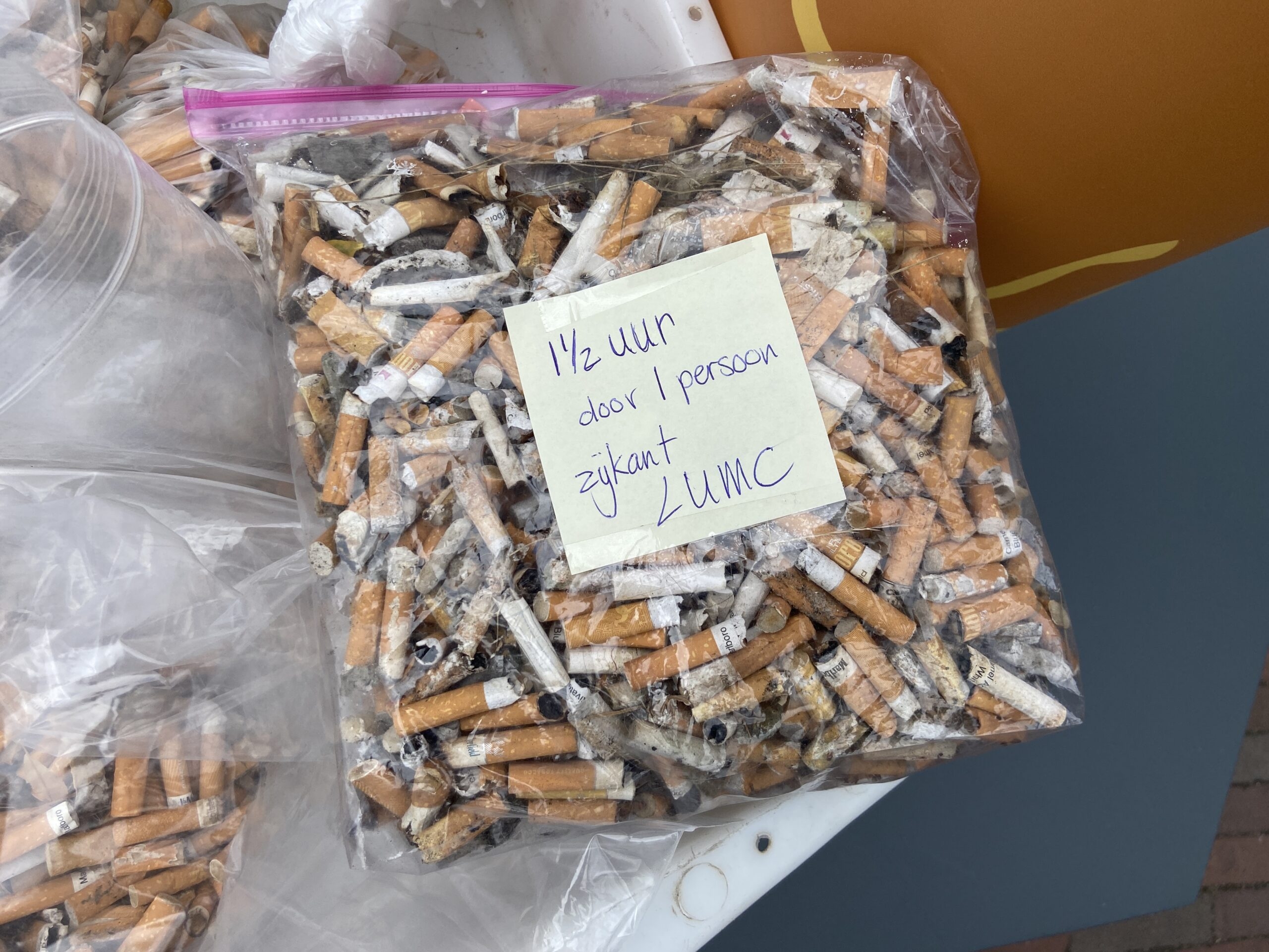Gönüllüler yaklaşık bir milyon zehirli sigara izmariti topladı