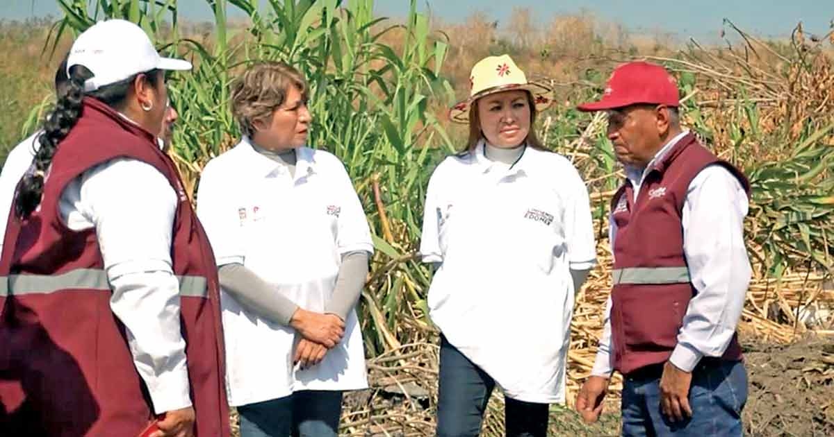 Delfina supervise le désensablement d'un barrage dans l'État de Mexico