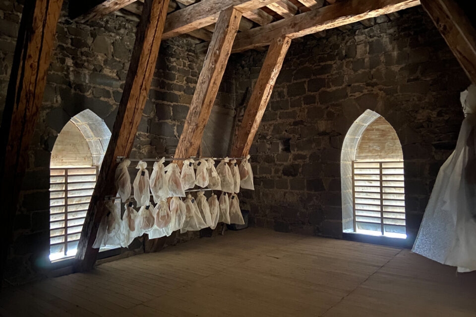 Saint-Flour (15): The French building authorities are requesting the removal of hams drying in a cathedral tower. (Update: Abbé Boyer receives the Agricultural Merit Award for his cured meats)