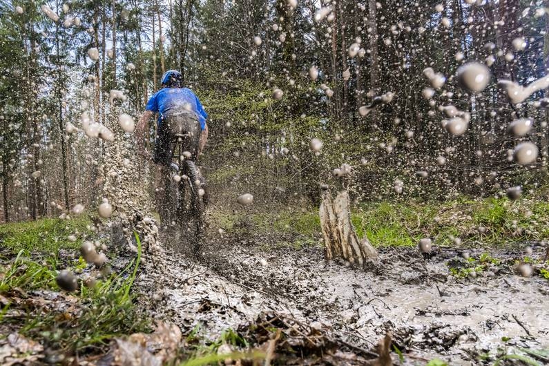 Queste norme valgono negli stati federali: i ciclisti di mountain bike devono rimanere sui sentieri segnalati nel bosco?