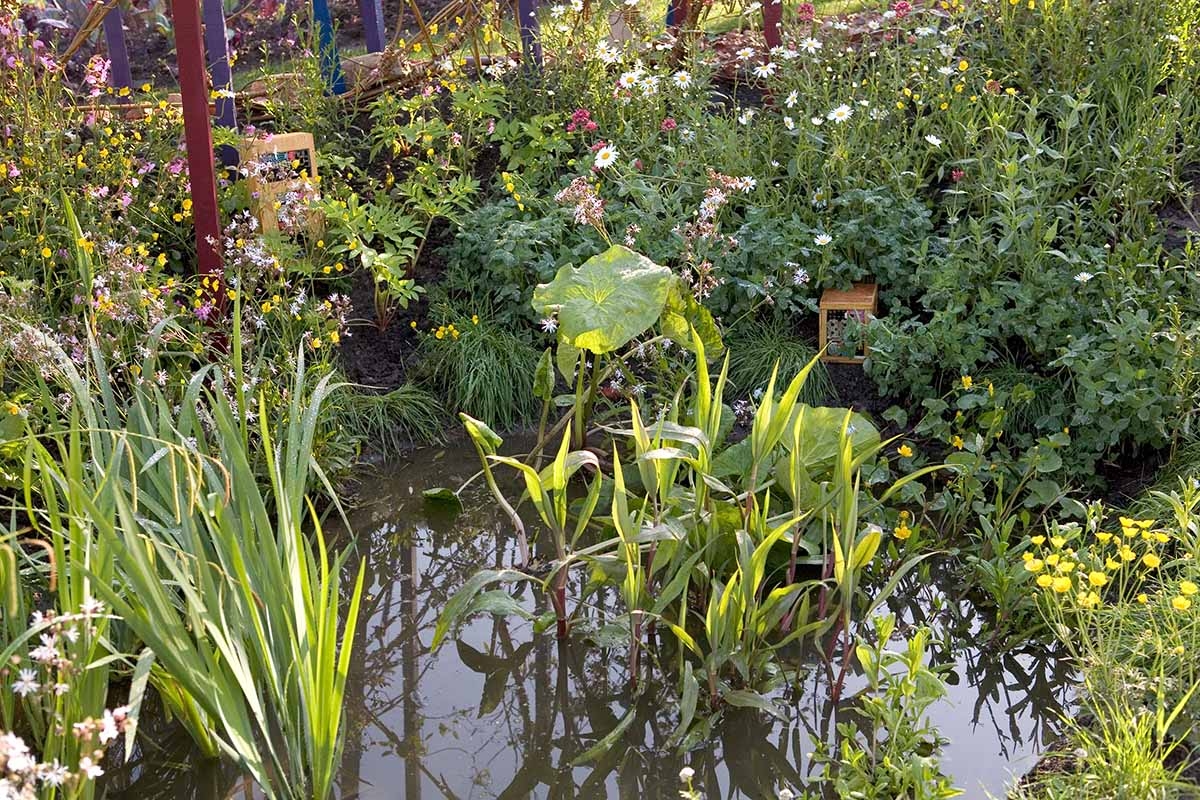 13 dingen die je begin juni in de tuin kunt doen