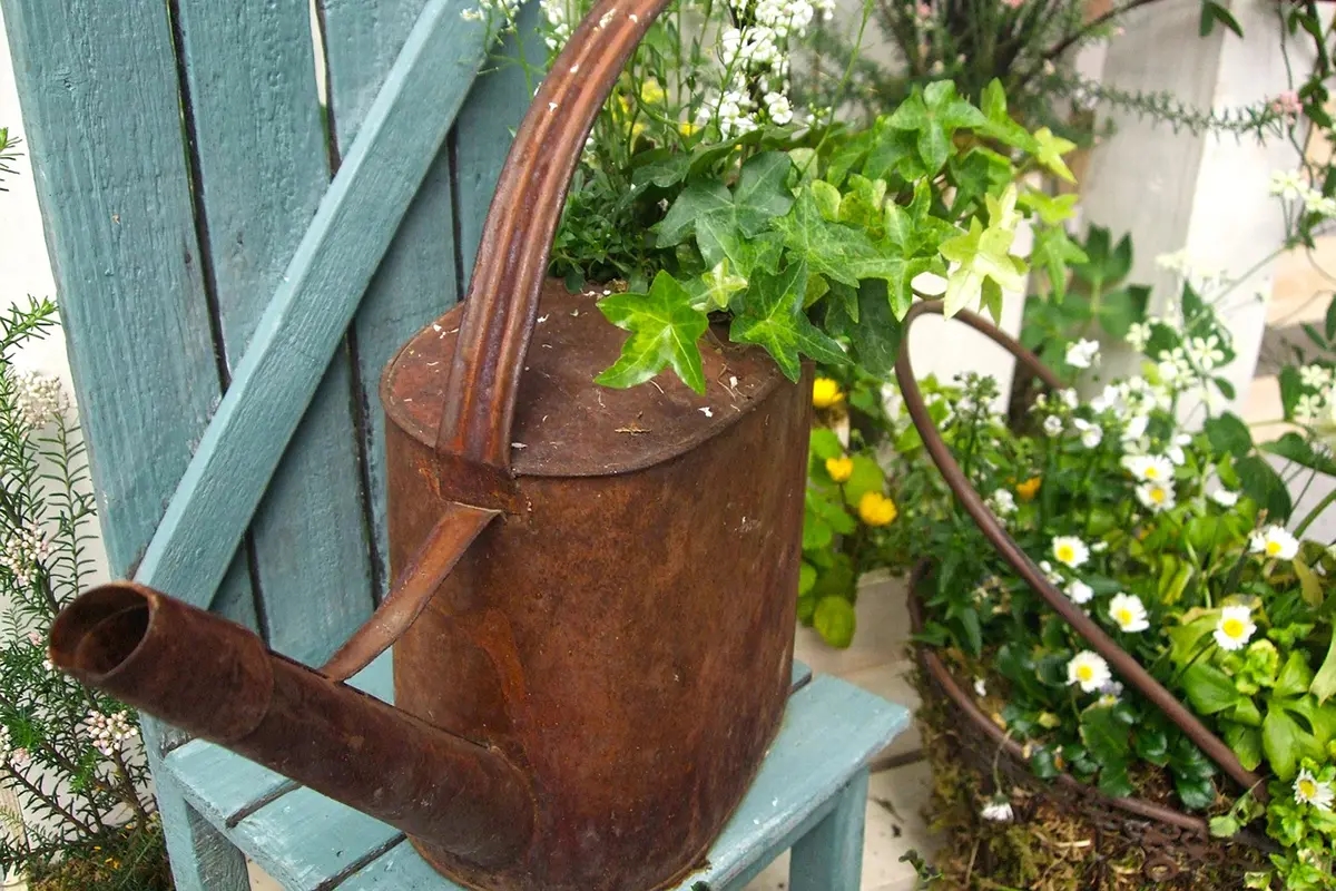 17x The best garden ideas for a small budget