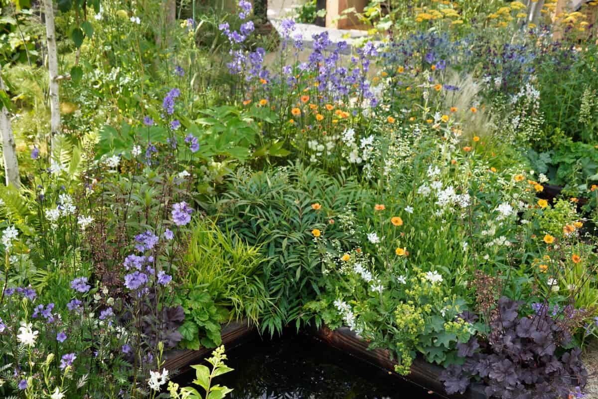 Vorrai implementare subito nel tuo giardino queste 5 tendenze del Gardeners' World Live 2025
