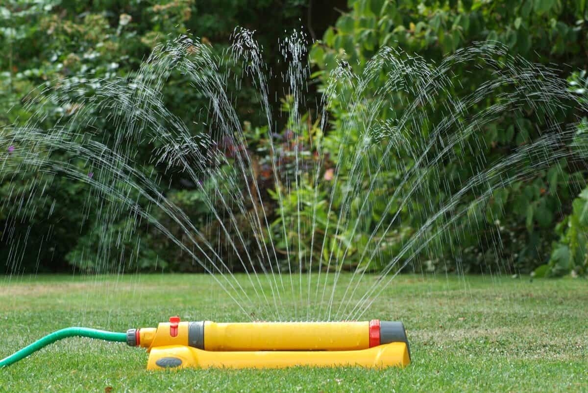 Watering the lawn: how often and how long you really should do it