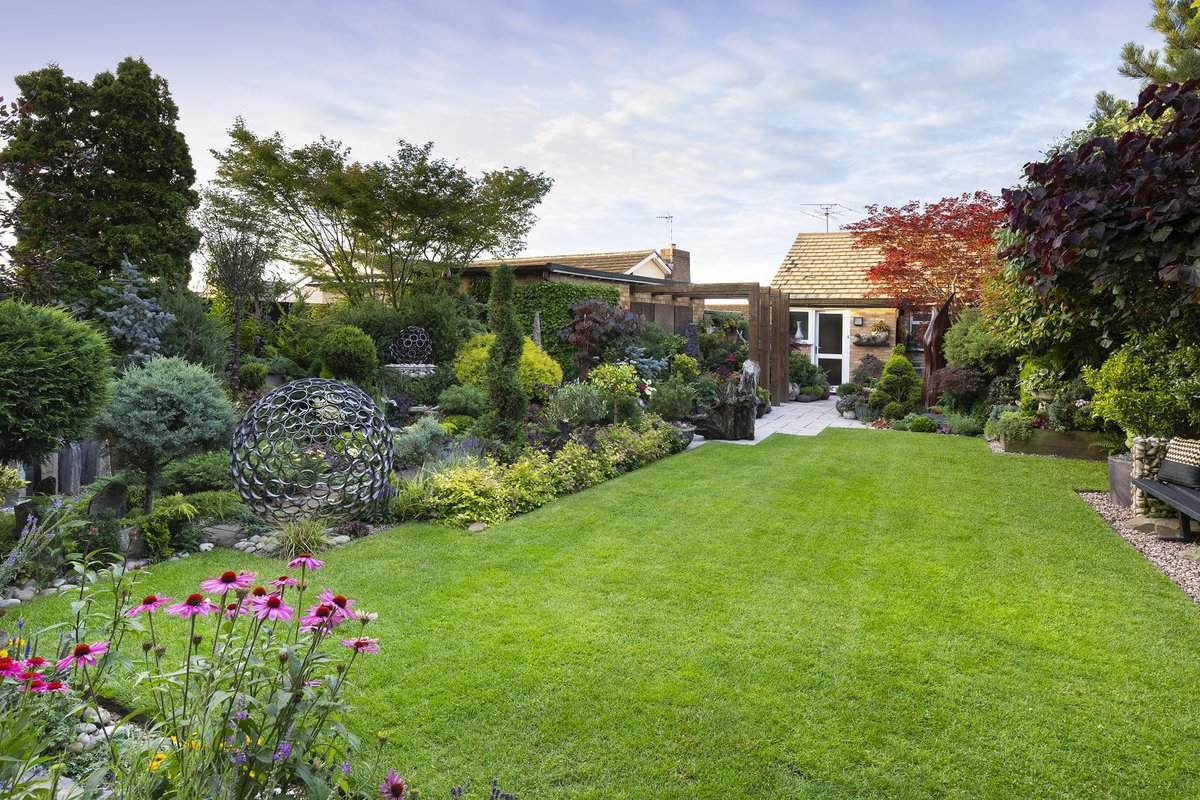 Maintaining grass throughout the year: 15 tips for every season