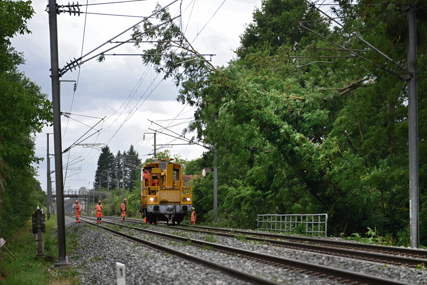 Onda de calor, inundação, tempestade… Como a SNCF está se adaptando ao aquecimento global?