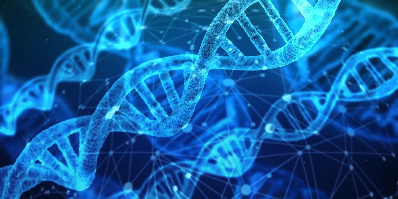 Wetenschap: Hoe micronutriënten in het dieet het menselijk DNA vormden