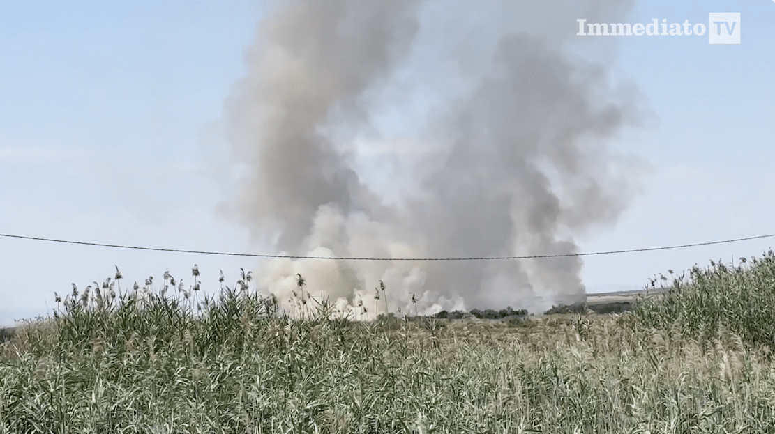 Brandstichting in Puglia, Coldiretti: "Zes op de tien branden werden veroorzaakt door mensen."