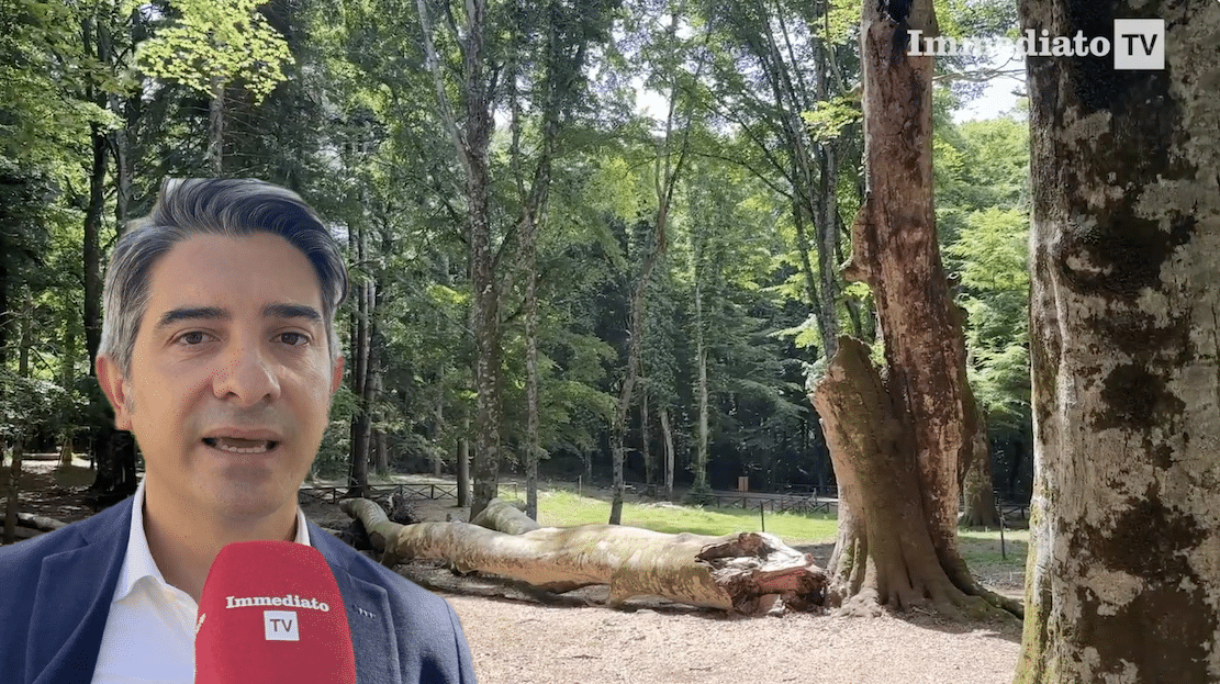 Raffaele Di Mauro treedt aan in het Gargano Nationaal Park: "Het bestrijden van branden en het onderhouden van contacten met burgemeesters behoren tot onze prioriteiten."