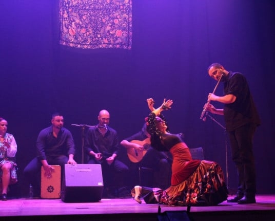 Del Puerto Company startet digitales Konservierungsprojekt für seine Flamenco-Sammlung