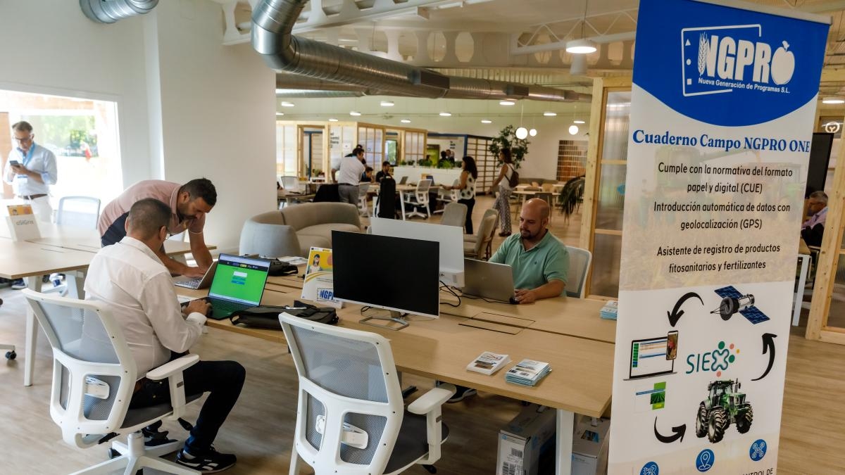 Die Investitionen in Startups werden sich im Jahr 2025 erholen.
