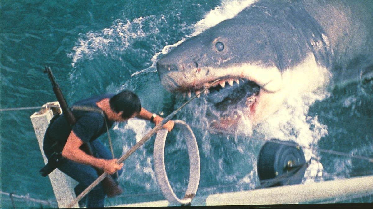« Les Dents de la mer » : 50 ans de la baignade la plus sanglante sur la plage