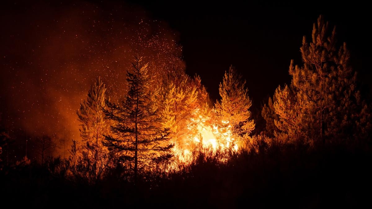 Fiamme per spegnere le fiamme